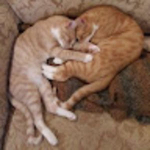 Meet your Posher, Jamie